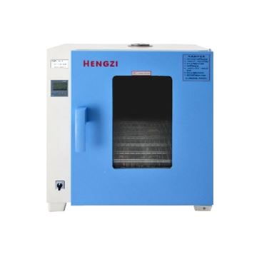 台式鼓风干燥箱HGZF 型